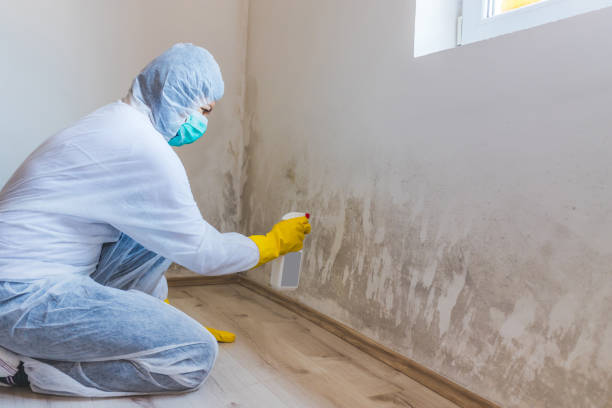 Licensed Crawl Space Mold Removal service in South Boston, VA - WQB Mold Removal
