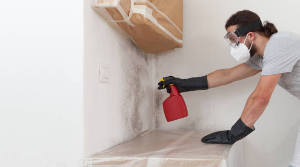 Professional Crawl Space Mold Removal technician working in South Boston, VA