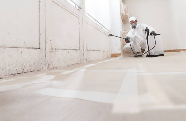 24/7 Emergency Crawl Space Mold Removal experts in South Boston, VA