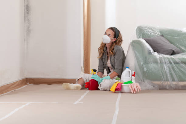 Reliable Crawl Space Mold Removal contractor in South Boston, VA by WQB Mold Removal
