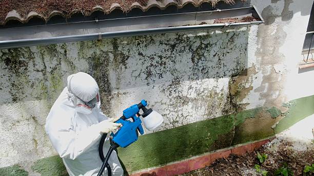 Top rated local Crawl Space Mold Removal specialists in South Boston, VA